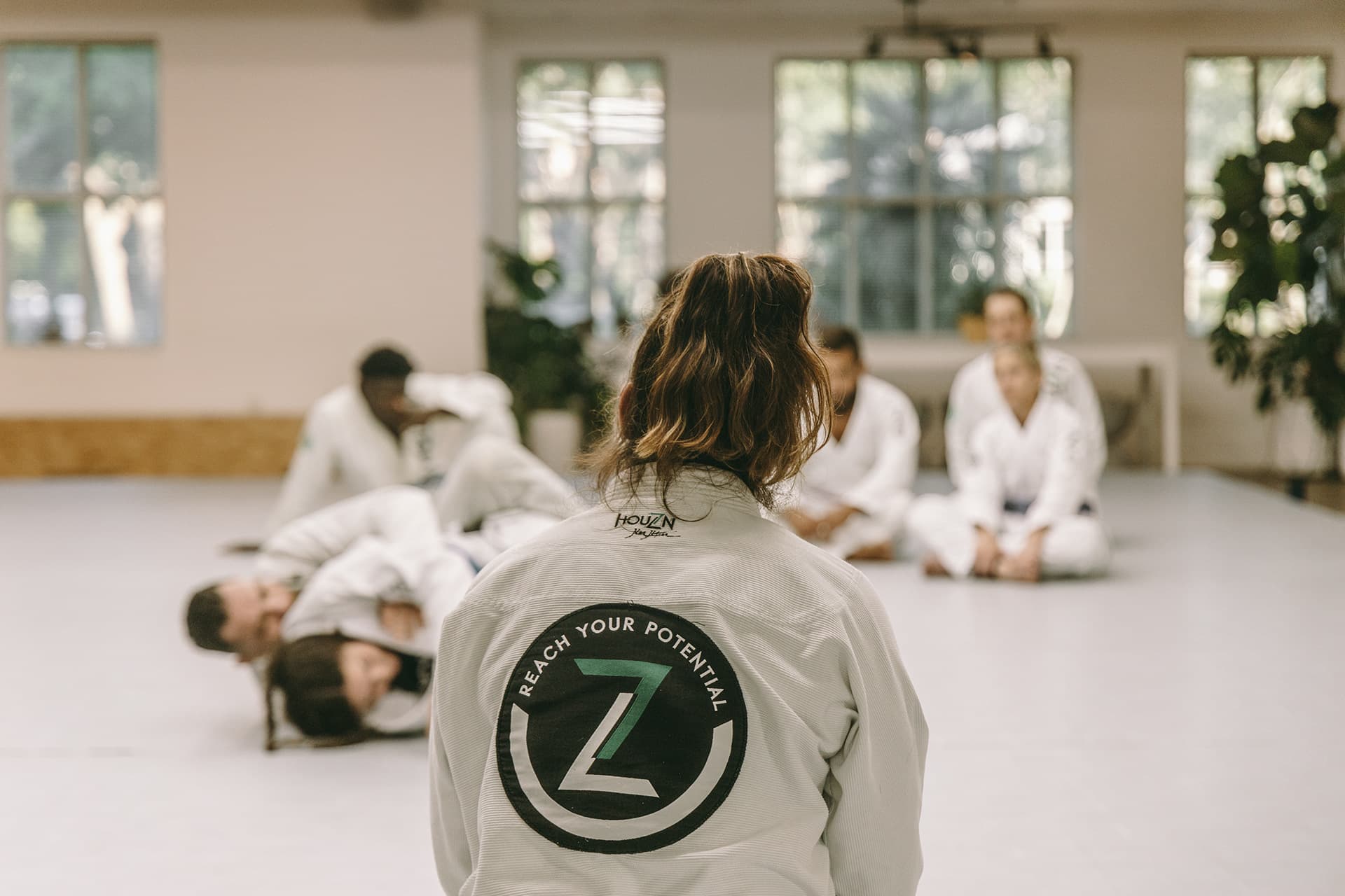 Houzn Jiu Jitsu still 4
